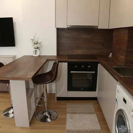 Treni Centrum Apartament *