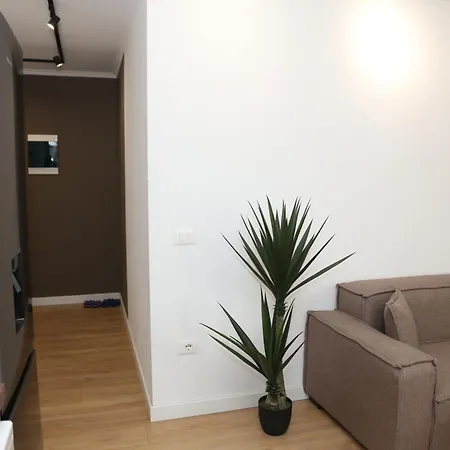 Apartment Treni Centrum *