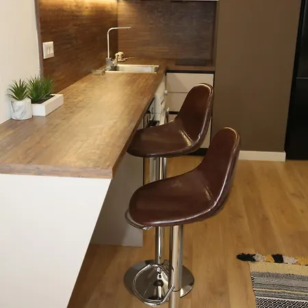 Treni Centrum Apartament *