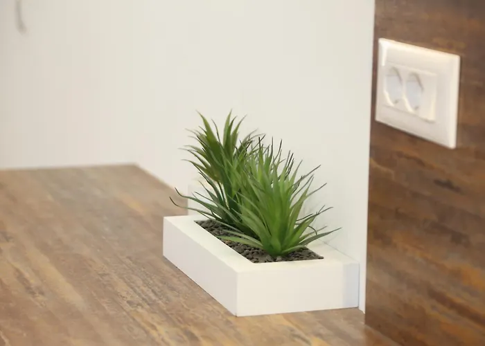 Treni Centrum דירה